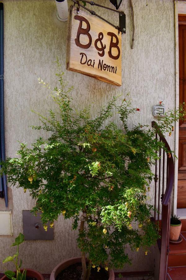 Dai Nonni, B&B A Chieti Ngoại thất bức ảnh